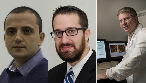 ד"ר מקסים סוקול, ד"ר בריאן רוזן ופרופ' נועם אליעז