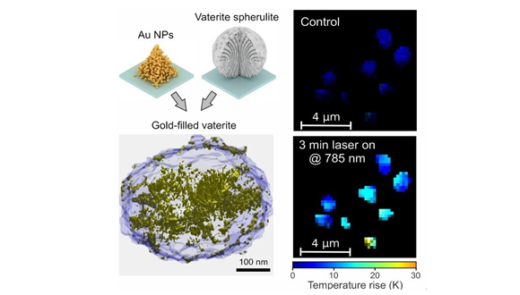 תמונה מהמחקר תמונה מהמחקר
